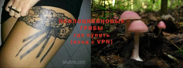 тгк Балахна