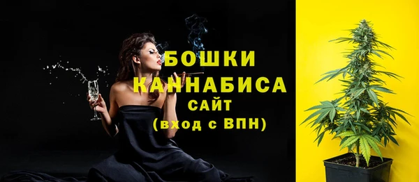 индика Балабаново