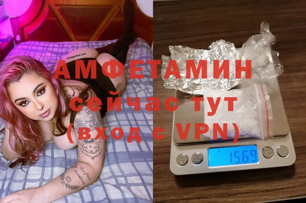 индика Балабаново