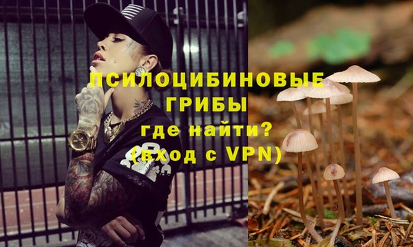 индика Балабаново