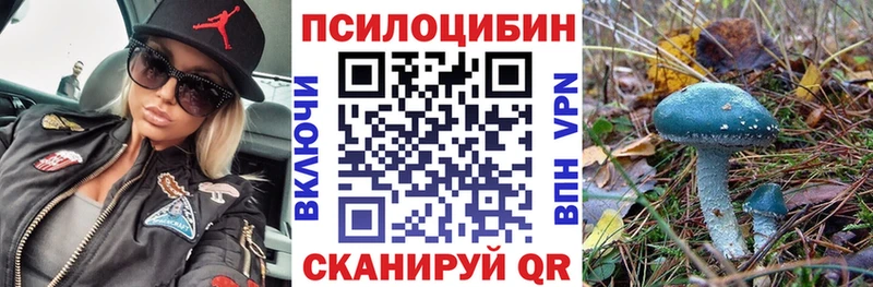 закладка  Городище  Псилоцибиновые грибы Magic Shrooms 
